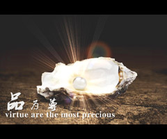 ����Բ��� ����Ƭ