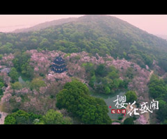 ӣ��ʢ�� ������ͷ侺���